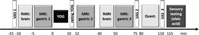 Functional Connectivity Within the Gustatory Network Is Altered by Fat Content and Oral Fat Sensitivity – A Pilot Study